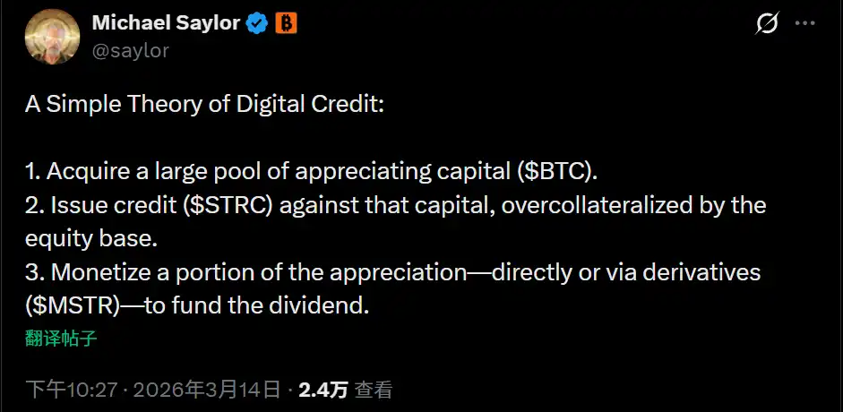 Michael Saylor：Strategy是比特币的波动放大器